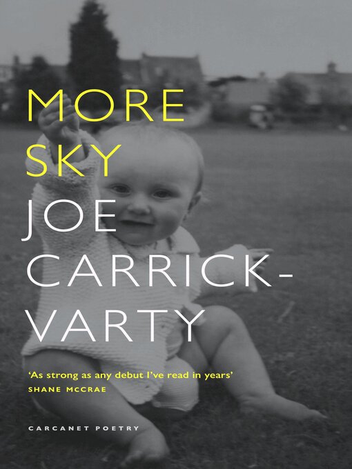 Title details for More Sky by Joe Carrick-Varty - Wait list